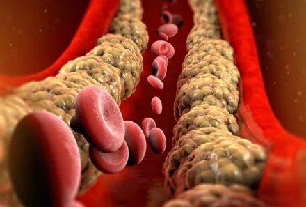 Dopo l’estate, ripartiamo dal cuore ❤️